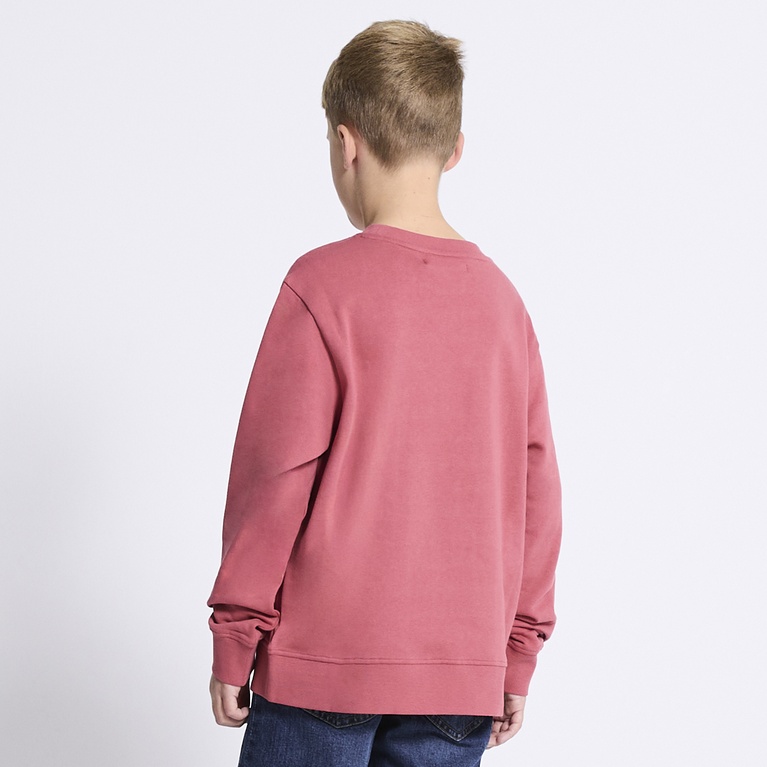 Sweatshirt "Pax star" Soft red